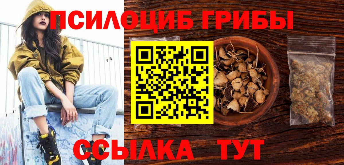 Галлюциногенные грибы Psilocybine cubensis Ипатово